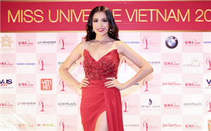           Lệ Hằng đại diện Việt Nam tại Miss Universe 2016      