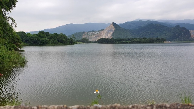 sot dat dong chanh dan ha noi xep hang cho chu dat bo vo ban nha