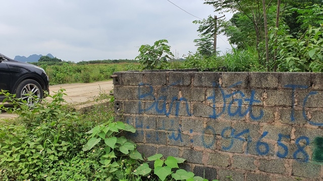 sot dat dong chanh dan ha noi xep hang cho chu dat bo vo ban nha