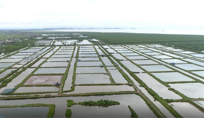 Gần 400ha đất bị bỏ quên ở Hải Phòng: Sở TN-MT vẫn 'im hơi lặng tiếng' - 2