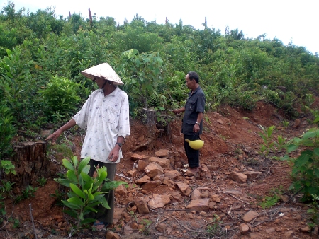 Thừa Thiên-Huế: Uẩn khúc việc biến đất nghĩa trang thành đất trồng rừng