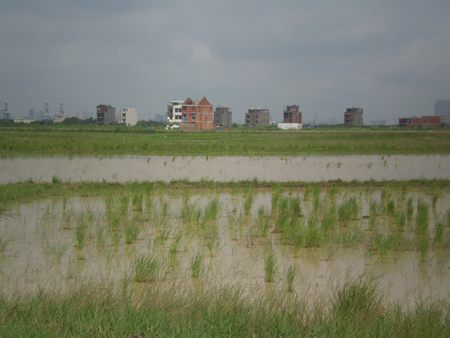 Hàng loạt khu đô thị mới, khu dân cư bị bỏ hoang 