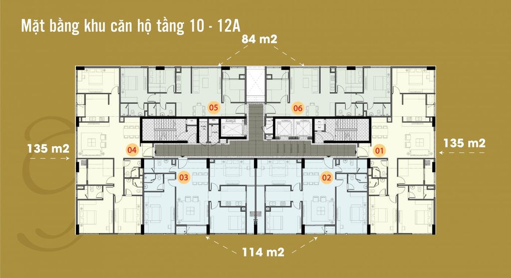 mặt bằng chung cư the terra hào nam