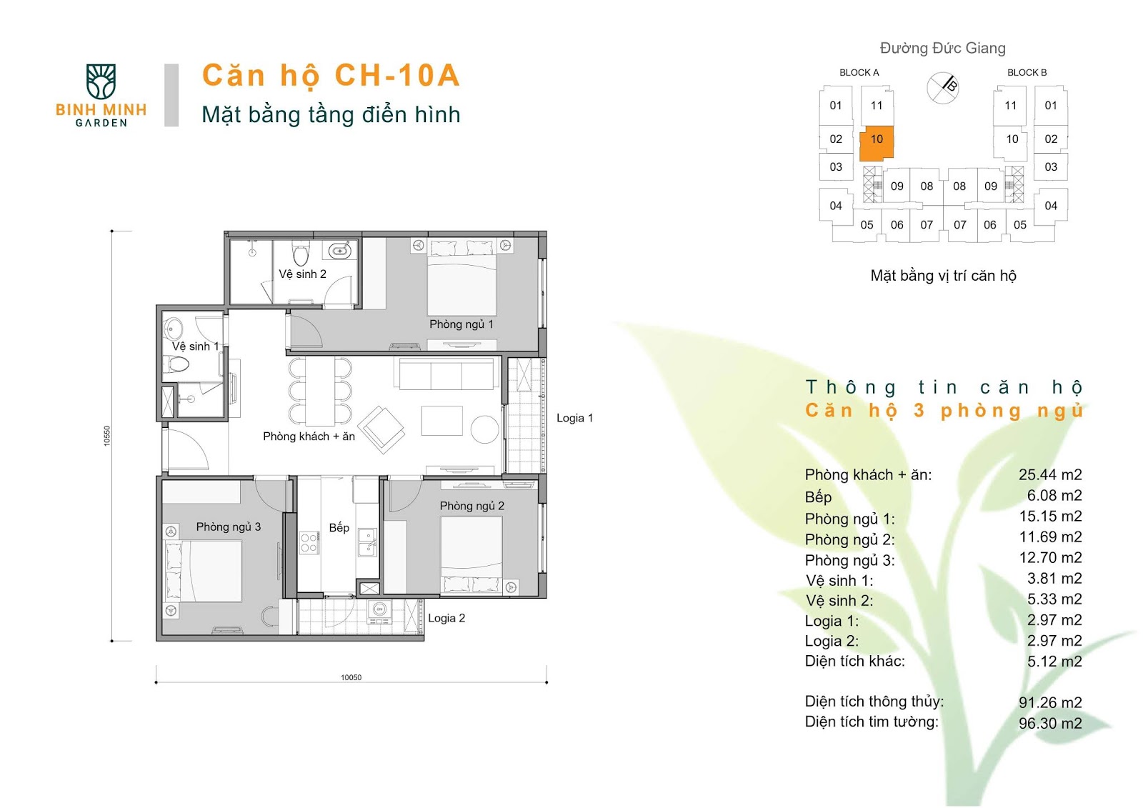 thiết kế căn hộ ch10