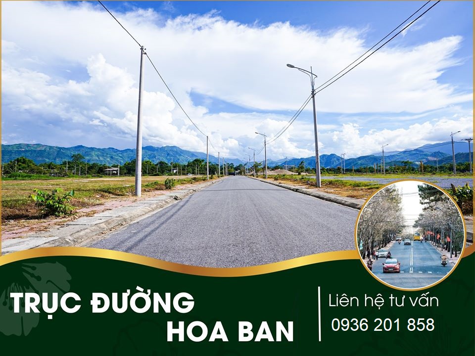 đất nền hoa anh đào chao hạ