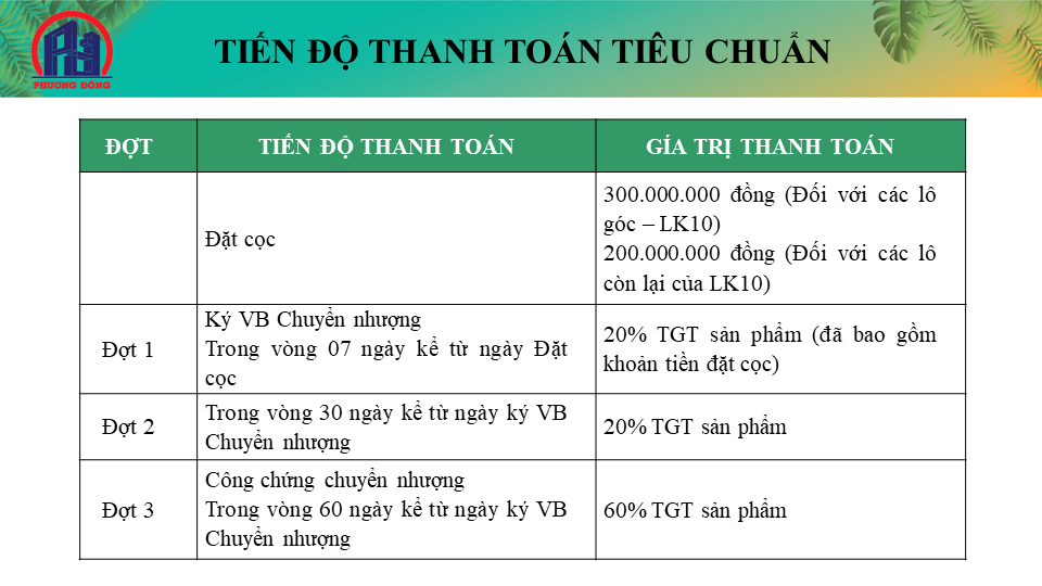 tiến độ thanh toán