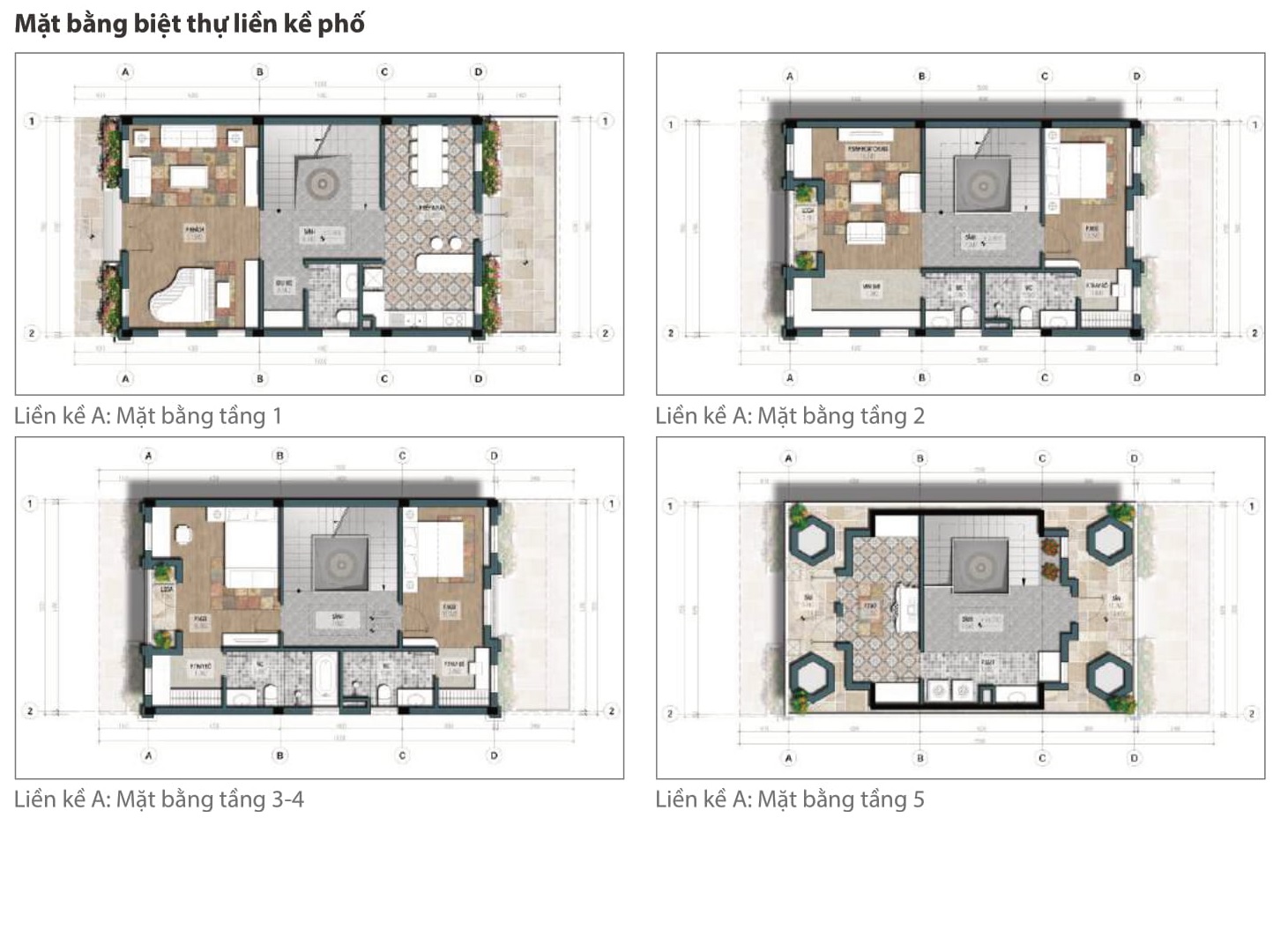 mặt bằng biệt thự liền kề helianthus center red river