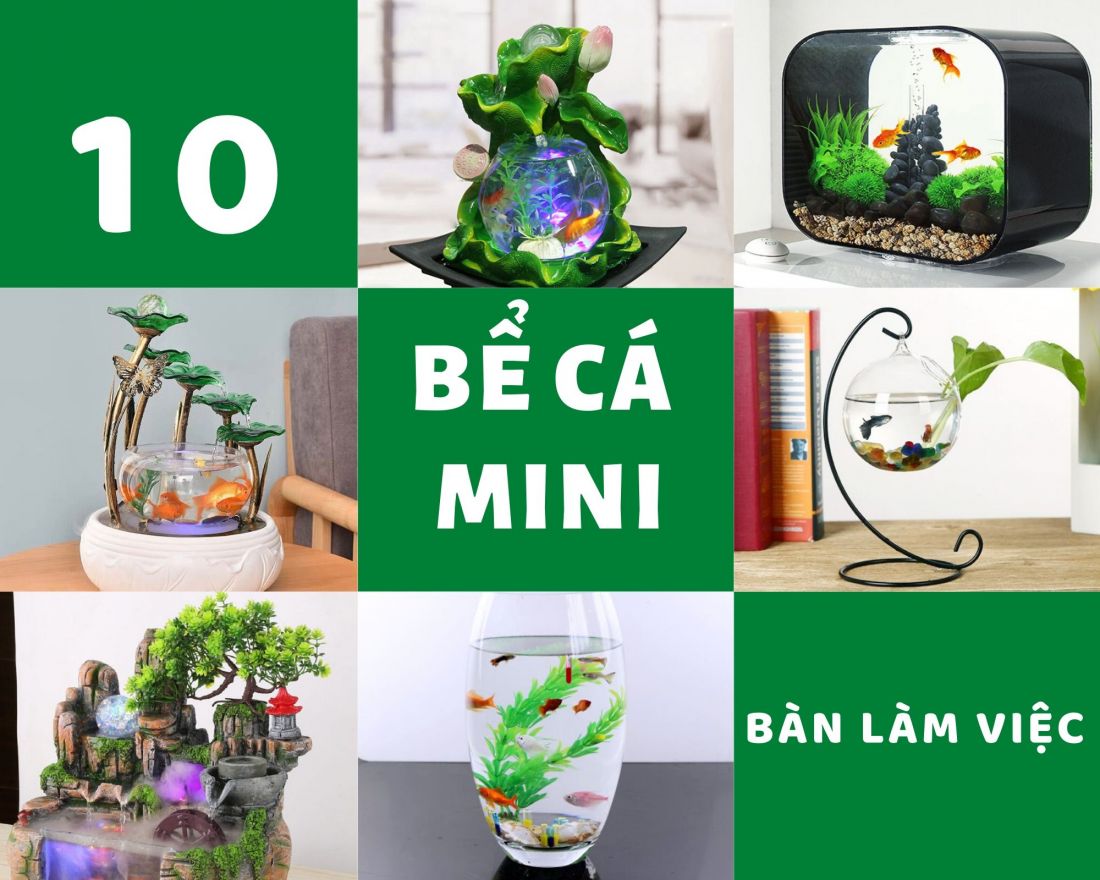 Bể cá mini