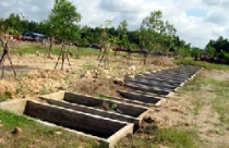 TP.HCM: Đẩy nhanh tiến độ xây dựng Nghĩa trang Đa Phước