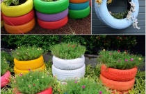 Ý tưởng thiết kế ấn tượng cho khu vườn