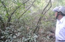 Thừa Thiên - Huế: Sân golf “nuốt” rừng phòng hộ 
