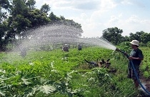 Từ 1.1.2012, miễn tiền đất nông nghiệp phục vụ cai ma túy 
