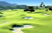 “Quy hoạch sân golf và vấn đề kinh tế sân golf”