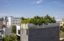 Ấn tượng với nhà có nhiều cây xanh giữa lòng Đà Nẵng