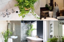 8 loại cây xanh nên đặt trong phòng tắm