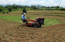 Tăng thời hạn giao, cho thuê đất nông nghiệp: Ai có lợi?