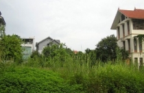 Hà Nội rà soát các dự án bất động sản ở Mê Linh
