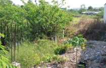 TP.HCM: Ngăn chặn phân lô bán nền đất nông nghiệp trái phép