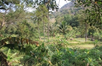 Tây Ninh: Kêu gọi đầu tư các dự án du lịch sinh thái