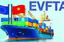 Xuất khẩu hàng hóa sang EU đạt gần 3,8 tỷ USD sau khi EVFTA có hiệu lực