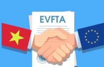 Nhiều doanh nghiệp chưa quan tâm đến EVFTA