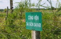 Bỏ hoang dự án ngàn tỷ Sài Gòn Safari