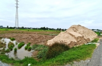 Ngang nhiên san lấp đất lúa để xây nhà máy