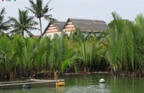 Quảng Nam “băm nát” rừng dừa để làm du lịch