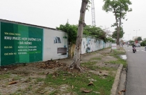 Đà Nẵng: Quay tôn, trồng cỏ các khu đất dự án chưa đầu tư xây dựng