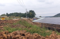 Bóc mẽ loạt dự án điện mặt trời ‘núp bóng’ nông nghiệp được hợp thức hóa