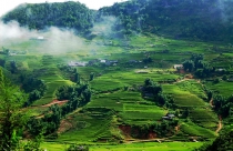 Sơn La sẽ có Khu bảo tồn hệ sinh thái nông nghiệp hơn 1.500ha tại Mộc Châu