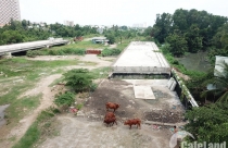 Dự án nghìn tỷ “trơ gan cùng tuế nguyệt”, thành nơi nuôi bò