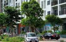 Thành phố Thanh Hóa: Hàng loạt chung cư thiếu chỗ để xe