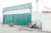 Diamond Lotus Lakeview, dự án tâm điểm của quận Tân Phú giờ ra sao?