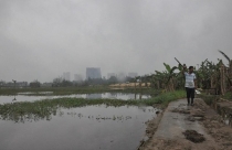 Vụ hủy 185 sổ đỏ tại Quảng Nam: Tranh chấp giao dịch đất đai, người dân "tự bơi