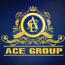  				Công ty cổ phần đầu tư ACE				